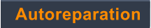 Autoreparation